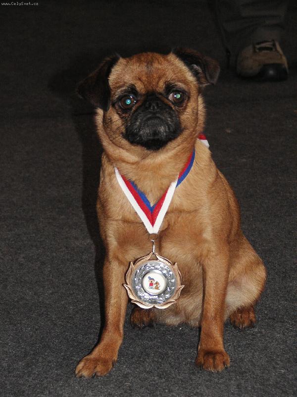 Foto: Dorotka Roxmavel-Chovn� fena, b�h� agility SA2, www.vetrnapole.wz.cz