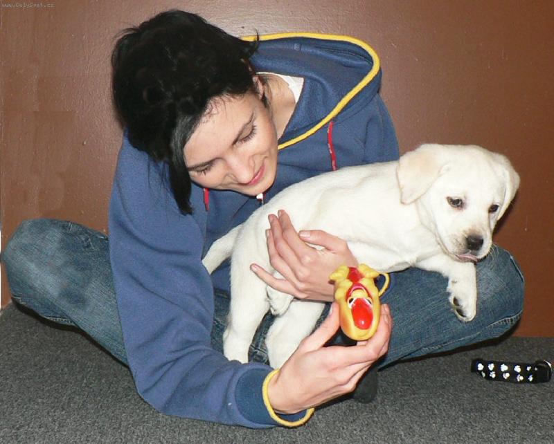 Foto: Facie druh� den doma-Facii jsem si p�ivezla z chovalelsk� stanice Zlat� de��. Od okam�iku, kdy jsem si ji p�ivezla dom�, ��dila jako bl�z�nek a cel� byt i m�j �ivot se rozz��il.