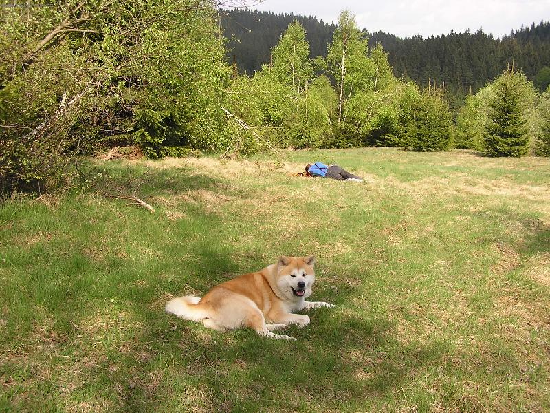 Foto: P�n i j� jsme prost� po t��e unaven�, no!-Agasschi na Kysuciach