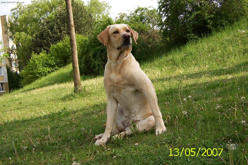 Foto: Sed�c� B�ra-sed� a kouk�,je�t� �idly aje to