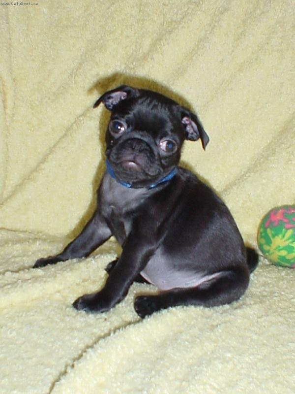 Foto: To jsem J� - Luisa