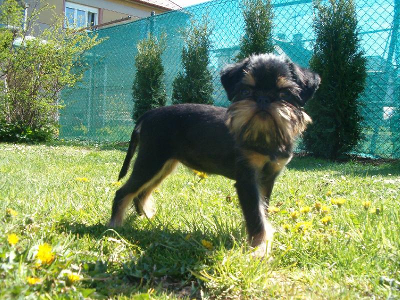 Foto: Na�e Lorrynka-Tady jsem je�t� mal� sle�na, ale u� mi to mo slu��