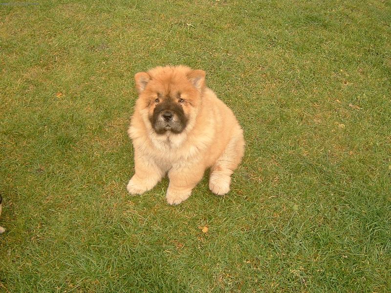 Foto: ahoj kamar�di-j� jsem B�rn��ek