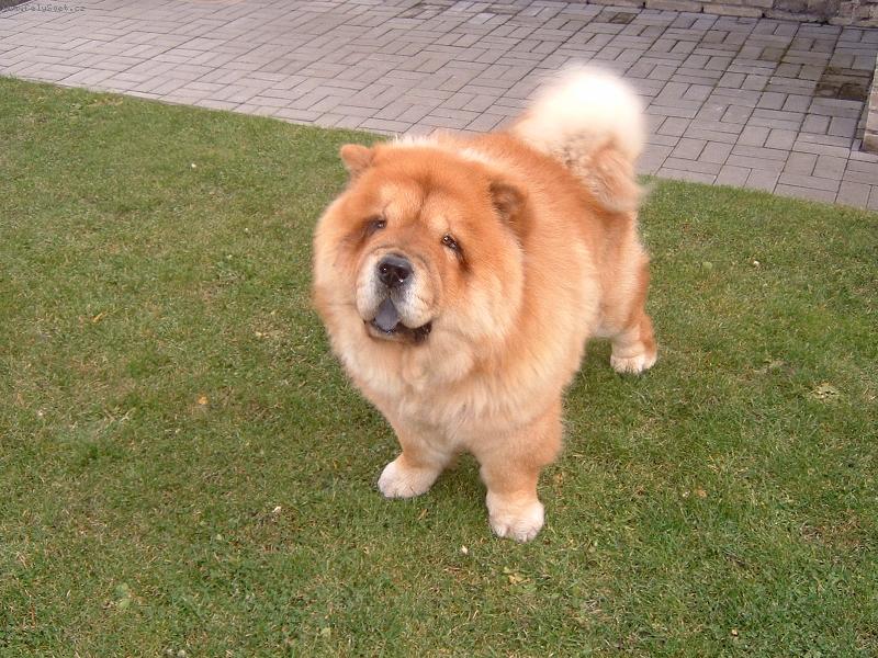 Foto: uplynul rok-u� jsem B�RNY