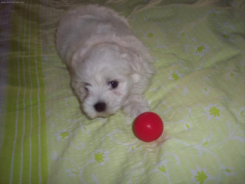 Foto: ABB�SEK-To je n� �punt