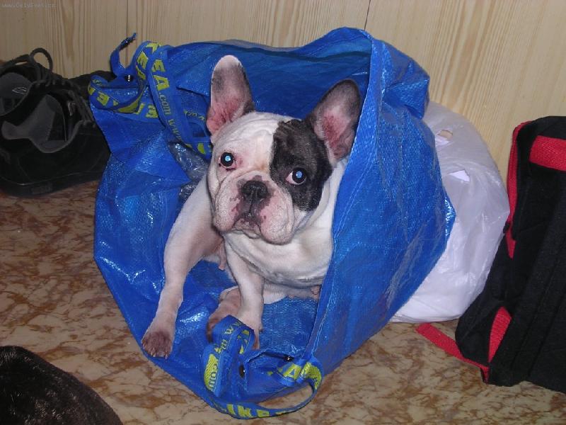 Foto: Dolores FL.-Po n�kupu:o)