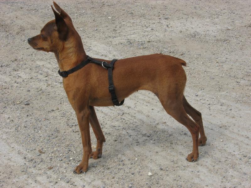 Foto: To je na�e Laky-Na�e Laky