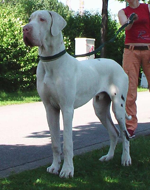 Foto: Campbell Quincy Etc.