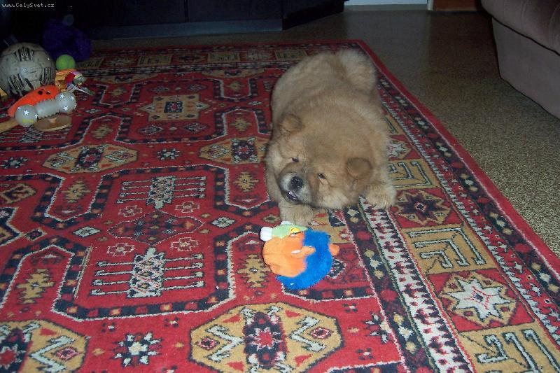 Foto: KIO 2 m�s�ce