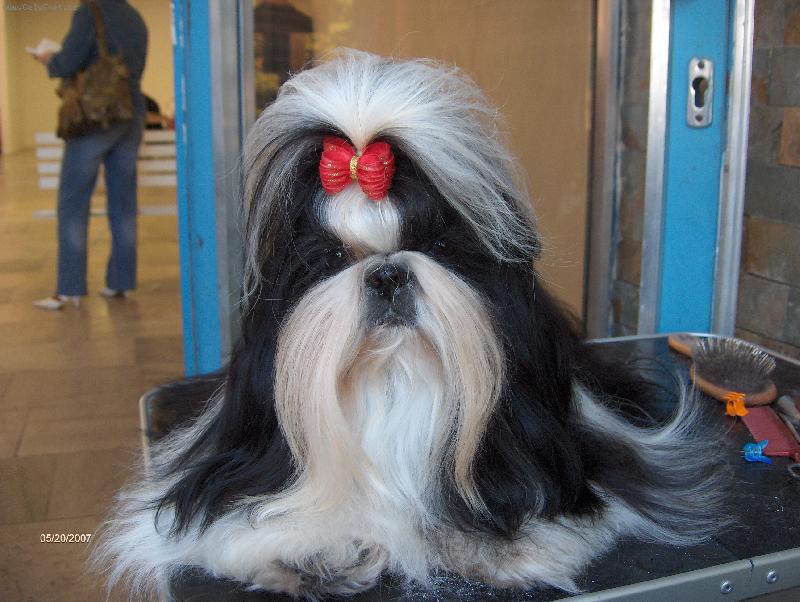 Foto: Princezna Lada-dlouh� �ek�n� na v�stav�