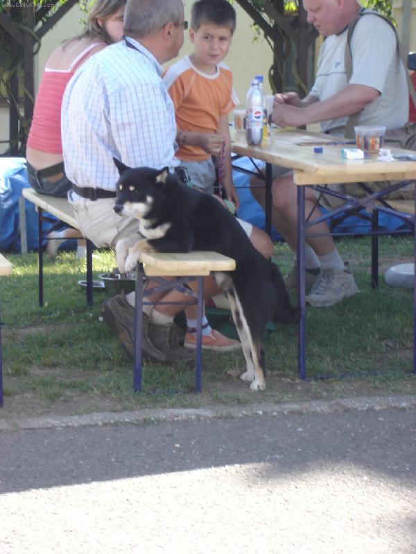 Foto: tak hle se odpociva