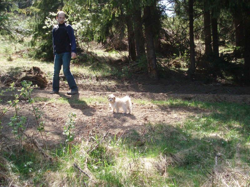 Foto: tapka-moj polovicny maltezacik