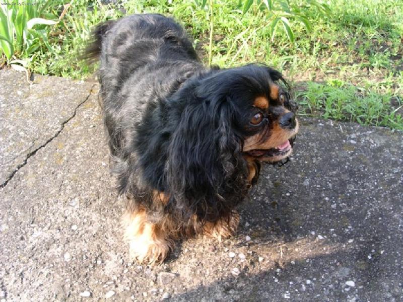 Foto: Bambulka.-Takhle n�kdy �u��me.