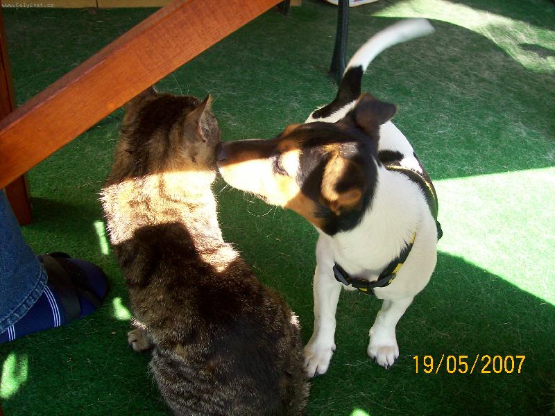 Foto: Ebi a jej� kamar�d kocour Mat�sek