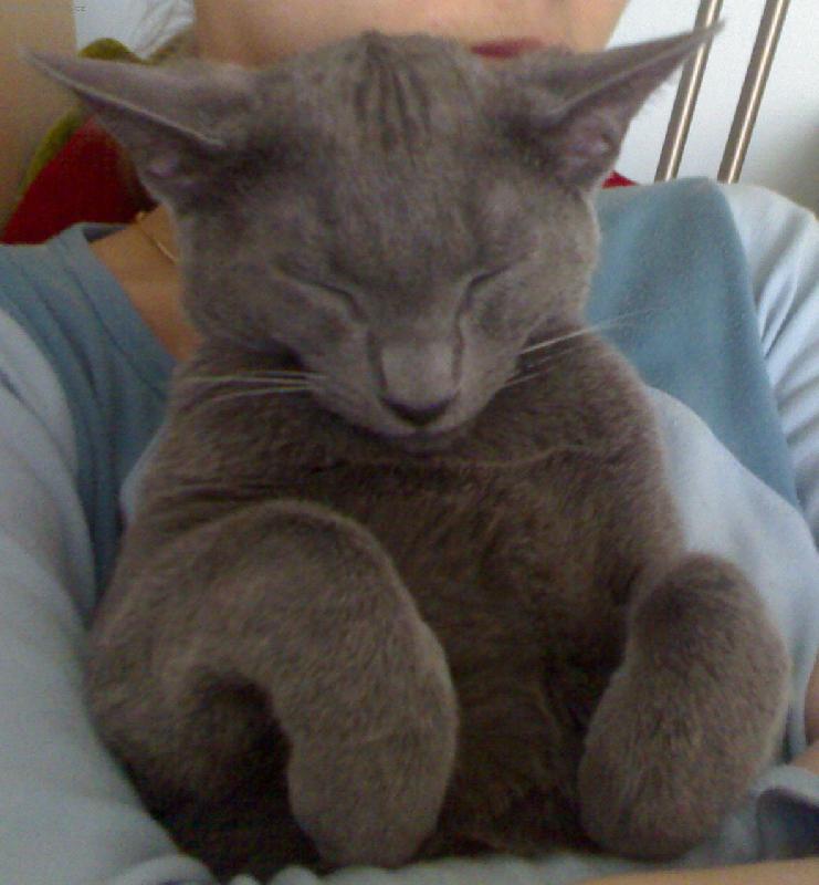 Foto: NIRV�NA-POHODOV� RELAXACE