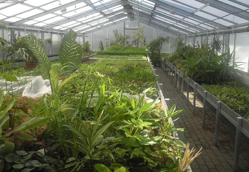 Foto: Sklen�k-�koln� zahradnictv�