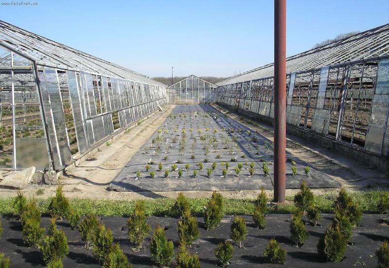 Foto: �koln� statek-�koln� zahradnictv�