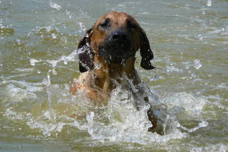 Foto: Tak u� se neboj�m plavat :-))