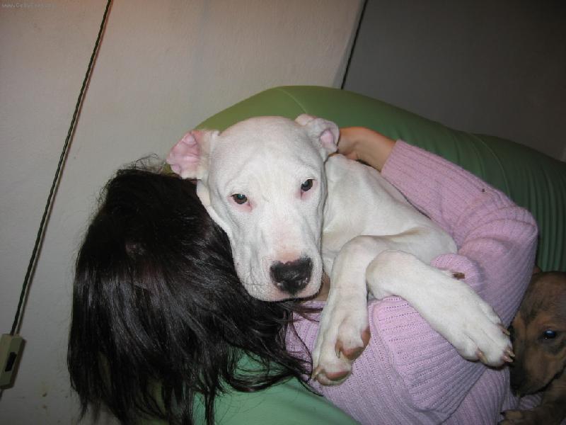 Foto: Na�e ps� sle�na jako 1/2ro�n� �t�n�-Tul�kov�n� s "maminou"