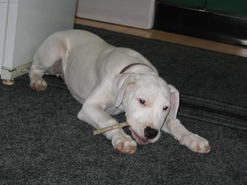 Foto: Adu�ka-�u�laj�c� klacek ve 3 m�s�c�ch