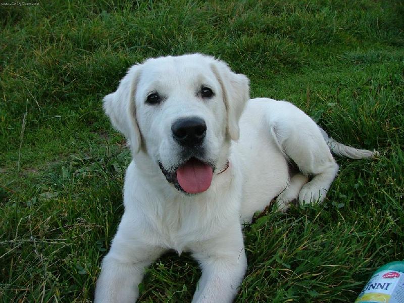 Foto: �umim jak umim-Moje dneska u� t��let� potv�rka :)