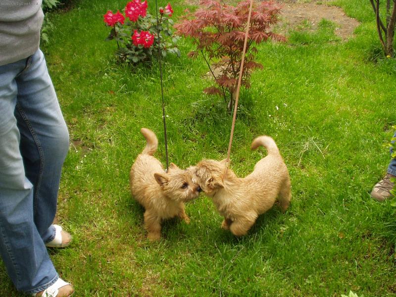 Foto: Citta   Clara Happy Naux-setk�n� po m�s�ci