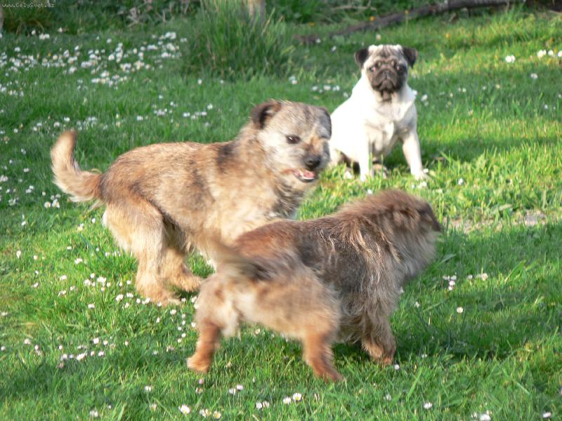 Foto: Roy s Ketty-v pozad� Bobina