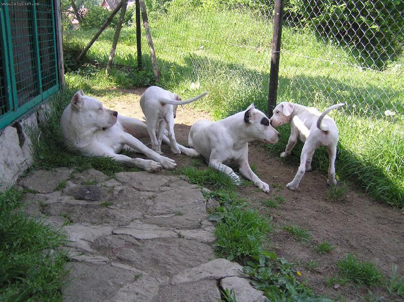 Foto: Rock, Damia, Espina, Don T