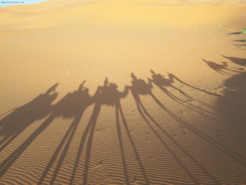 Foto: pohled z velbloud�ho h�betu