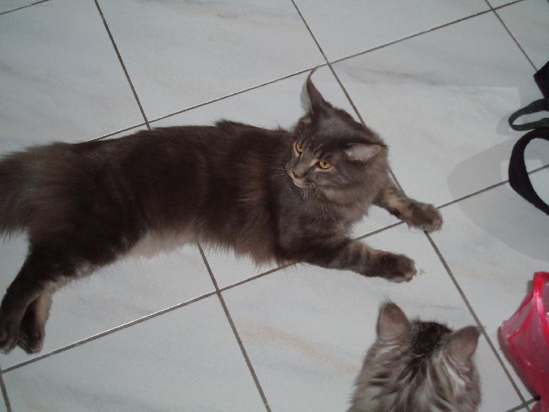 Foto: Mates�k-ja jsem jeste ko��tko, a� vyrostu budu 2x tak dlouhatansky ,o))