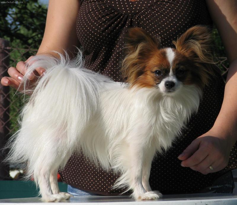 Foto: Eset Porubdk� kv�t