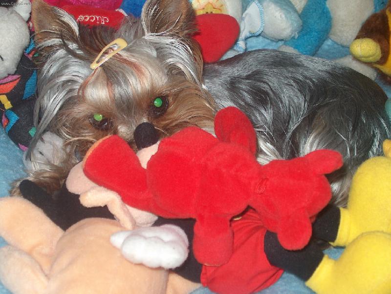 Foto: Ad�lka-jo jo fakt tam je