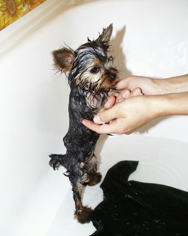 Foto: Ad�lka-prvn� koup�n� (ve v�ku 2,5 m�s�ce)