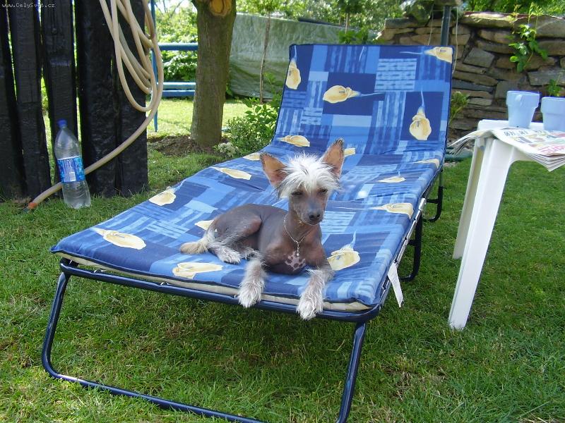 Foto: Fanny 4 m�s�ce-odpoledn� siesta na zahrad�