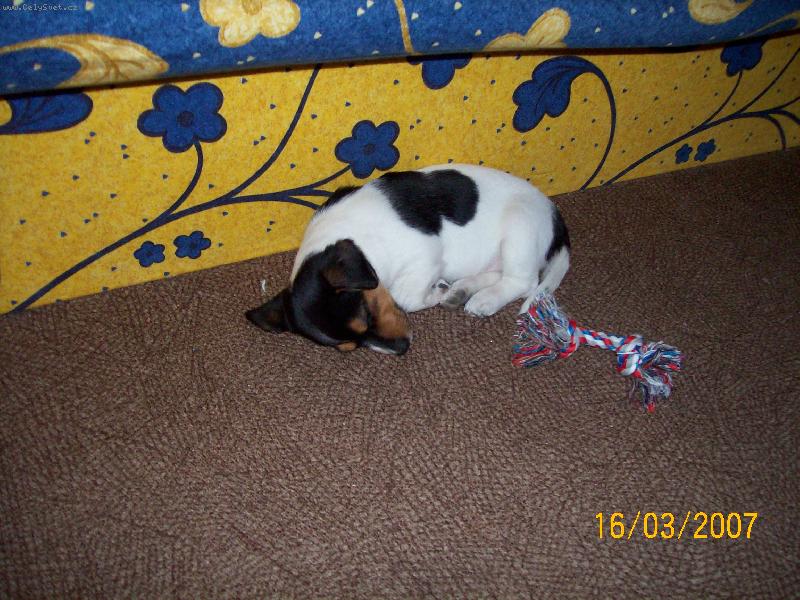 Foto: Sp�nek..-Na�e Ebi kdy� sp���