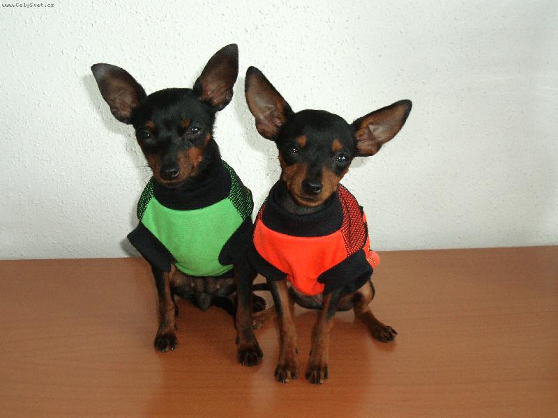 Foto: sestry v triku