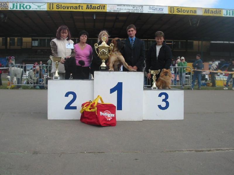 Foto: N�meck� �pic mal� - Aissi Sandir�-NV-Brno-BIS3, BIG1