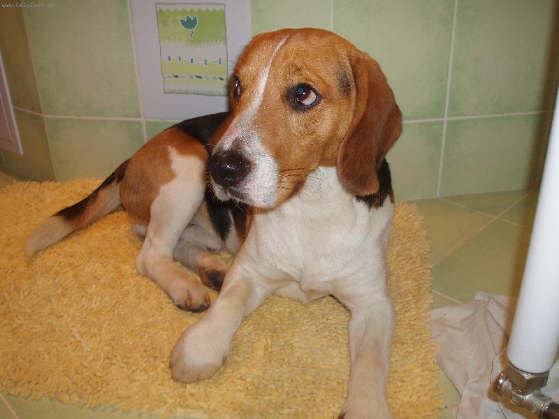 Foto: N� Bad��ek-Tak tady u� se nechci fotit