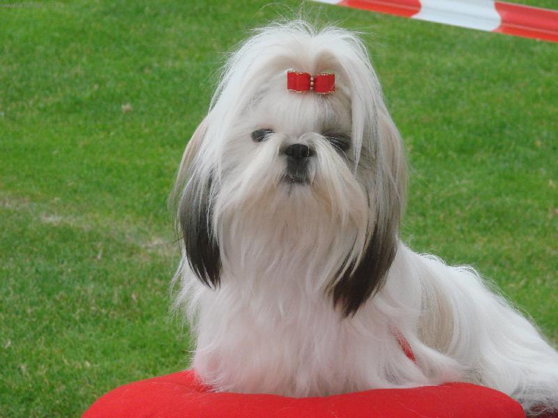 Foto: Roz�rka z IVAFRE