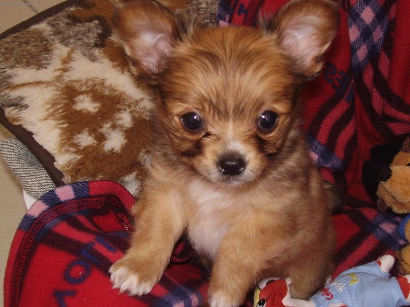 Foto: Mil��ek Luck�sek-Luck�sek