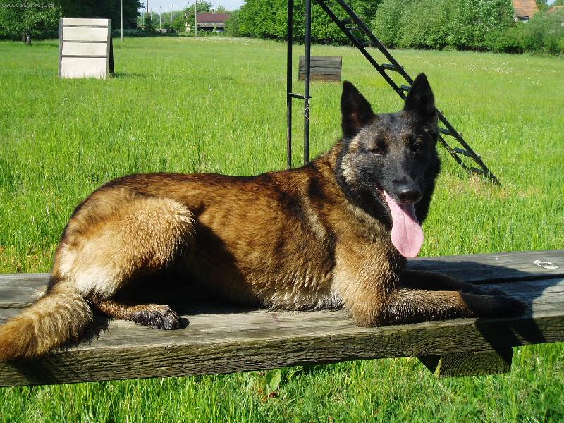 Foto: Arka Ostr� Lagar