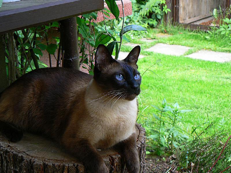 Foto: Jeho veli�enstvo.-Jeho veli�enstvo.