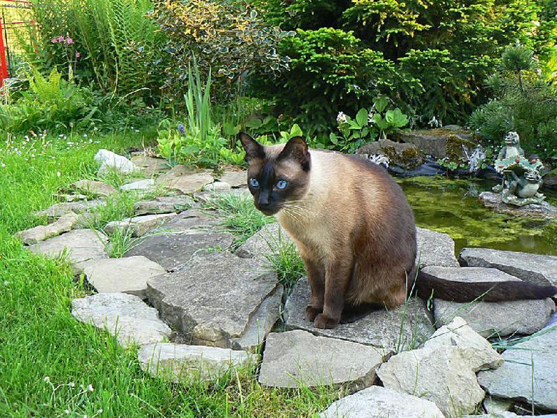 Foto: u jez�rka-u jez�rka