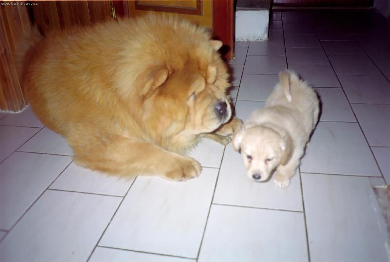 Foto: M�a jako n�hradn� otec