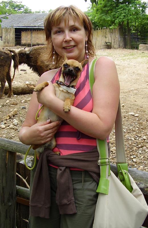 Foto: Uaaaa, chce se mi sp�t-�ivav�k Reino-Chi ze S�dlberku