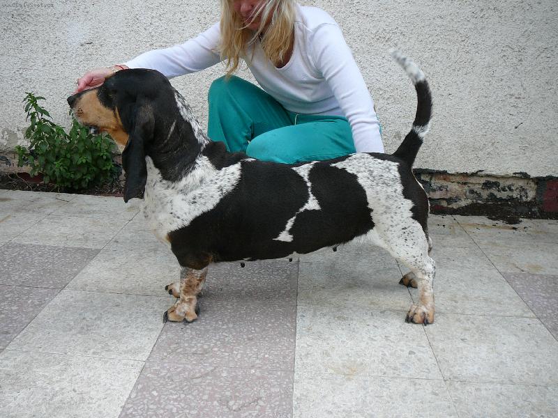 Foto: Abigail Pascale Damville-pros�m majitelku Enrika,ozv�te se na mejl dankadolezalova@saznam.cz