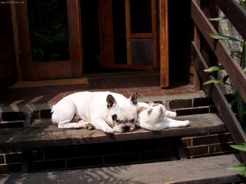 Foto: Opalov�n� s k�mo�kou.-Eda a �mudla