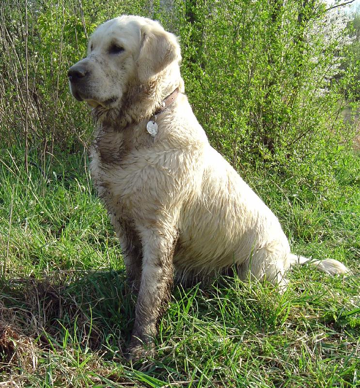 Foto: �pinav� Bro�ule-Bronwyn de Bismill�hi