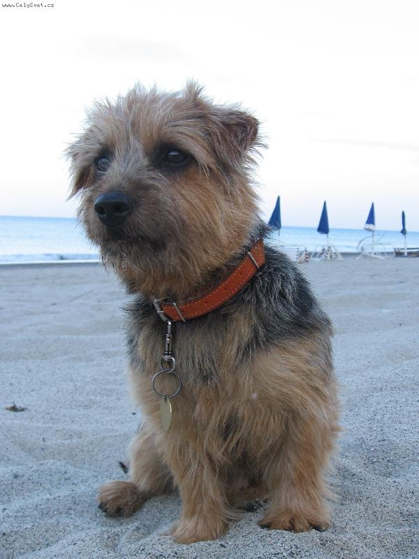 Foto: Na�e Lady-Lady