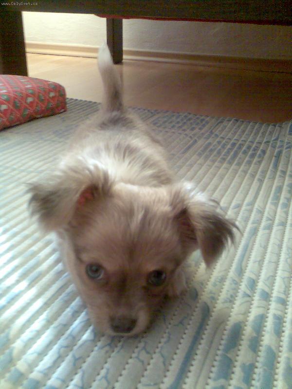 Foto: Welcome party-n� drob�ek je u nas druhy den :-)